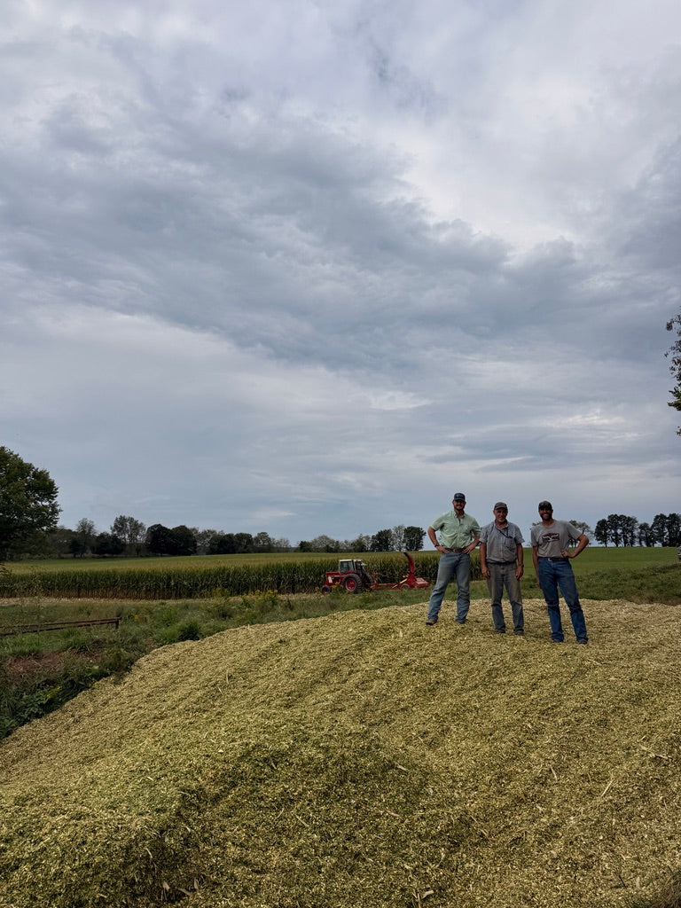 A Good Year: Reflecting on Harvest Season at Mountain Steer