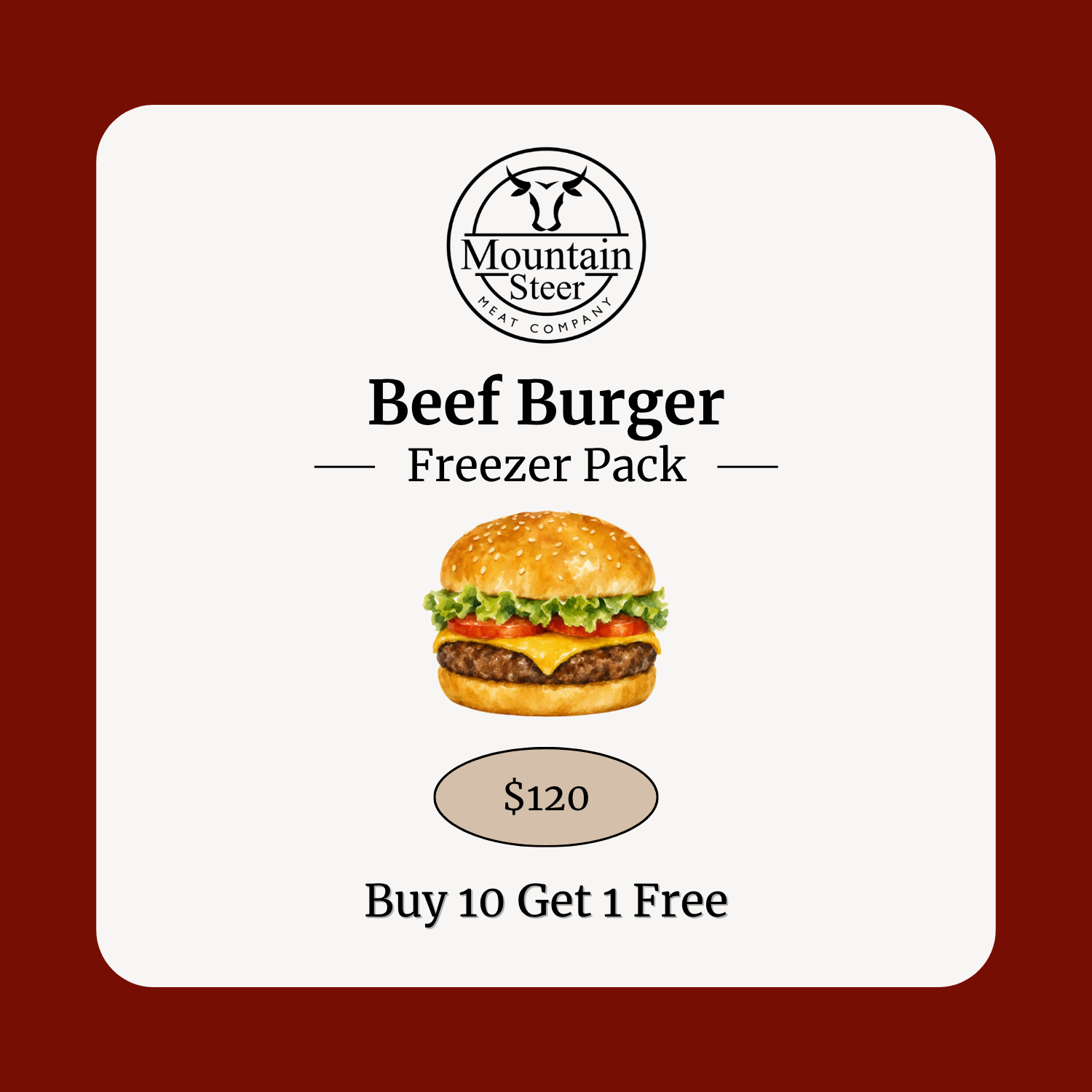 Beef Burger Freezer Pack
