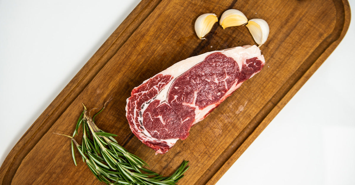 Contact Mountain Steer